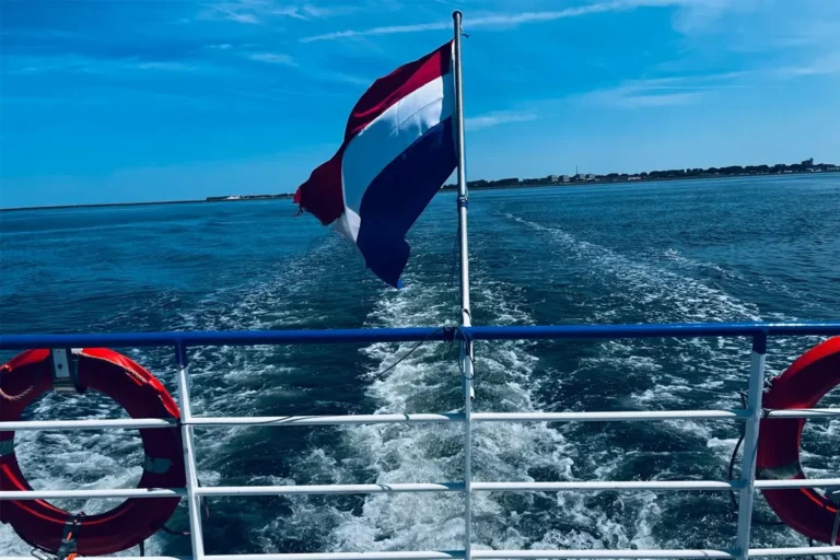 MLETR-Netherlands-Dutch.webp.webp
